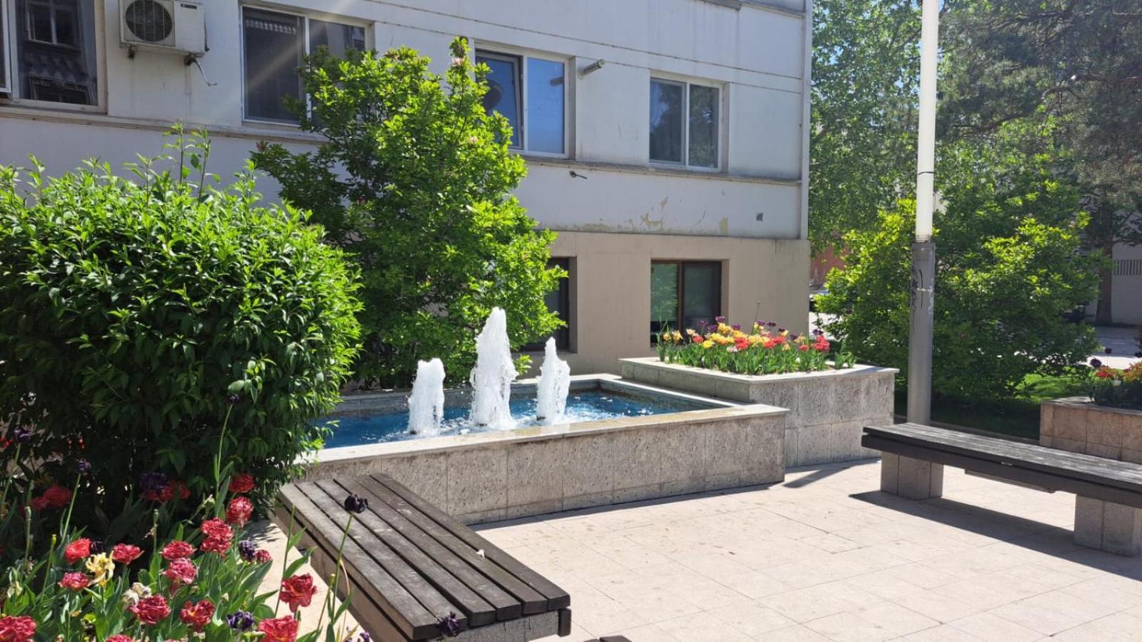 Apartament Kitty Centrul Istoric Krajowa Zewnętrze zdjęcie