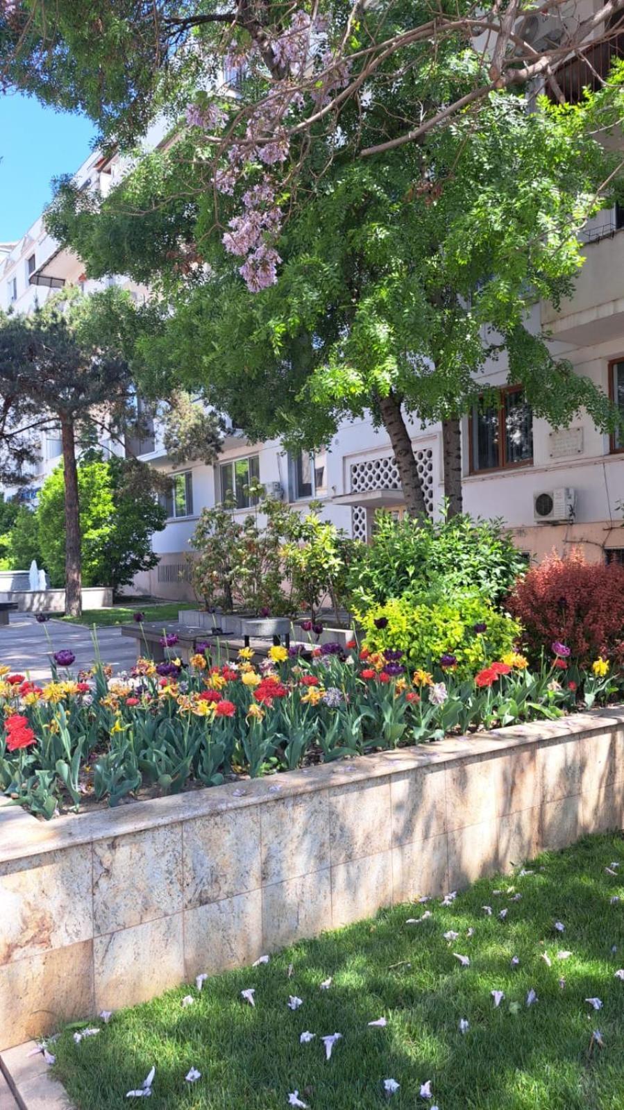 Apartament Kitty Centrul Istoric Krajowa Zewnętrze zdjęcie